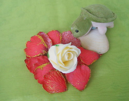 Rose elfenbein Blüte